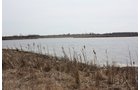 Property photo 4 - 194.67 Acres Offered in 2 Tracts